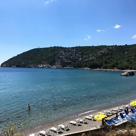 Adria بودغوريتْسا